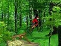 Mountain Bike online jolasteko