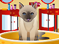 Petz Fashion online jolasteko