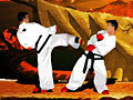 TaeKwon-Do online jolasteko