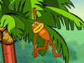 Spider Monkey online jolasteko