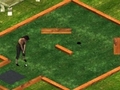 Putt It In online jolasteko