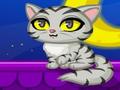 Purrfect Kitten online jolasteko