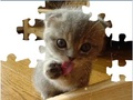 Cute Cat Puzzle online jolasteko