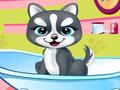 Pets Beauty Salon 2 online jolasteko