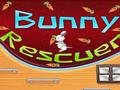 Bunny Rescuer online jolasteko