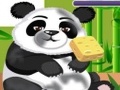 Panda Care online jolasteko