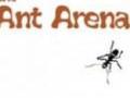 Ants Arena online jolasteko