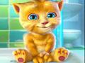 Cat Ginger hizketan online jolasteko