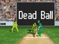 Cricket online jolasteko