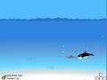 Dolphin Hunt online jolasteko