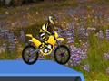 Hillblazer FMX online jolasteko