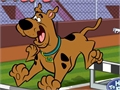 Scooby Doo - Steeplechase online jolasteko