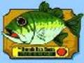 Kantu Fish online jolasteko